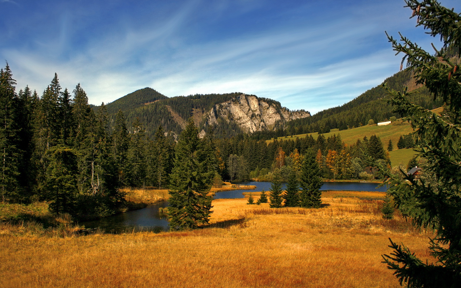 中国篮球联赛观众行为分析与营销策略,篮球赛观众须知