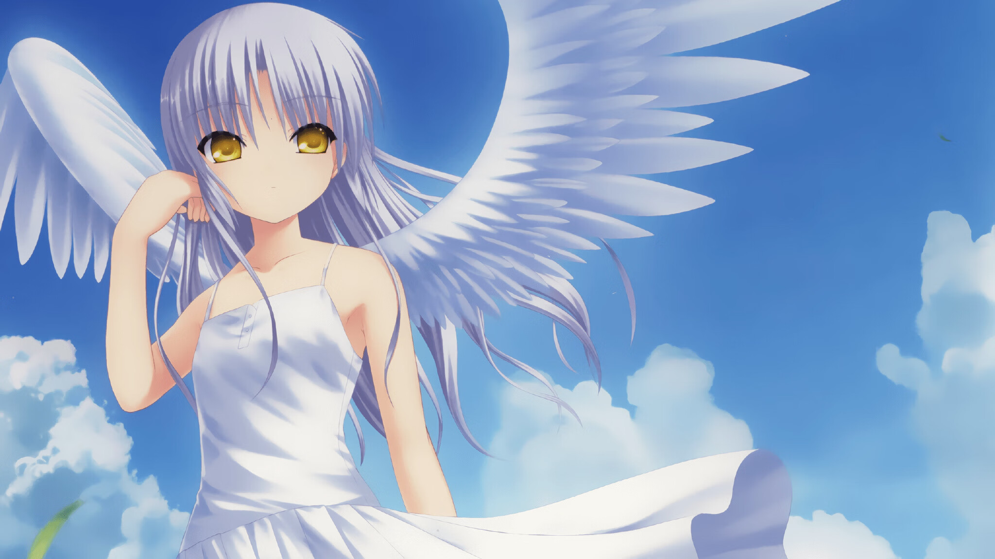 中国篮球联赛观众行为特征及市场营销策略分析，篮球赛观众须知