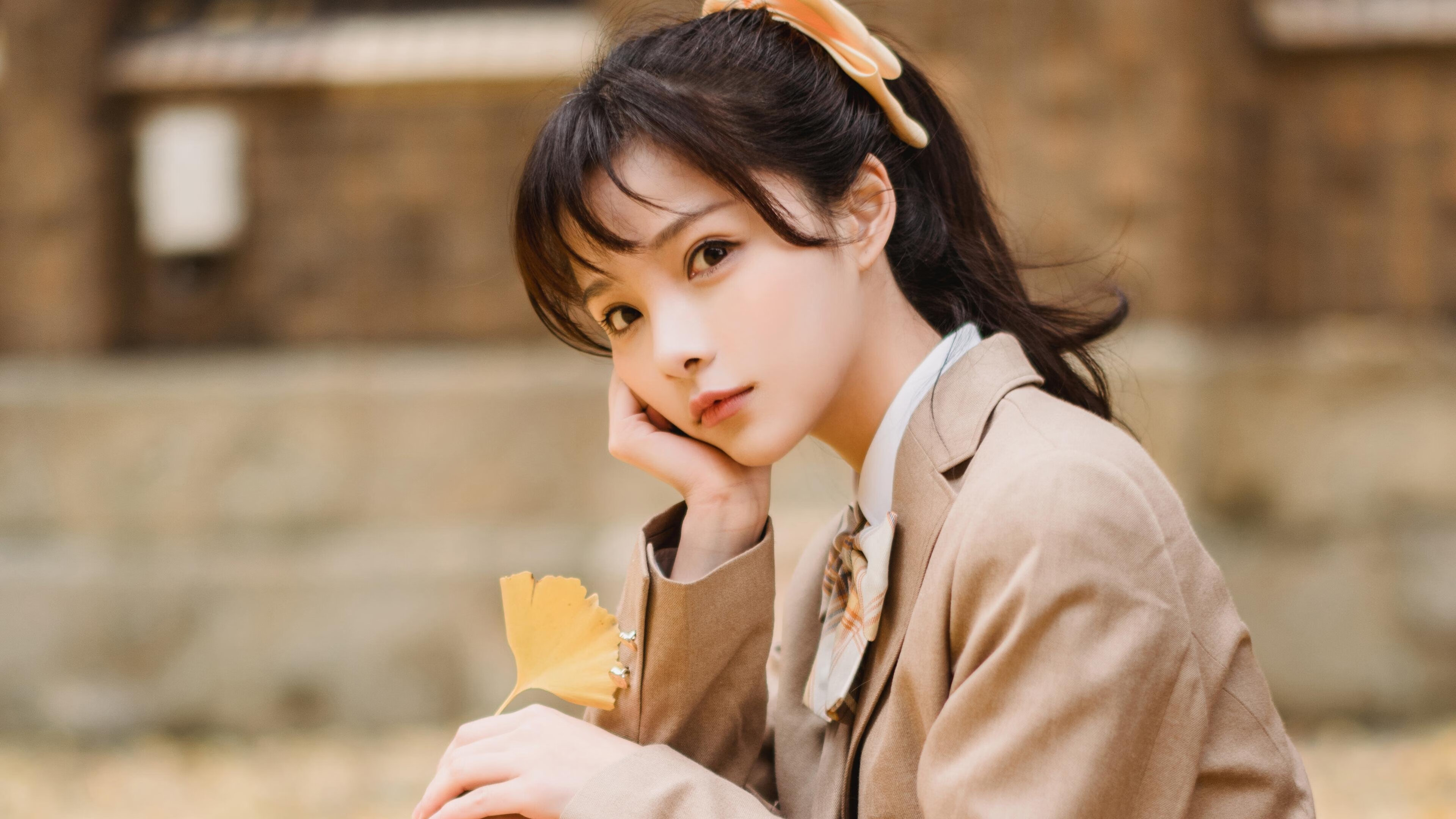 中国篮球联赛观众行为特征及市场营销策略,篮球观众席图片