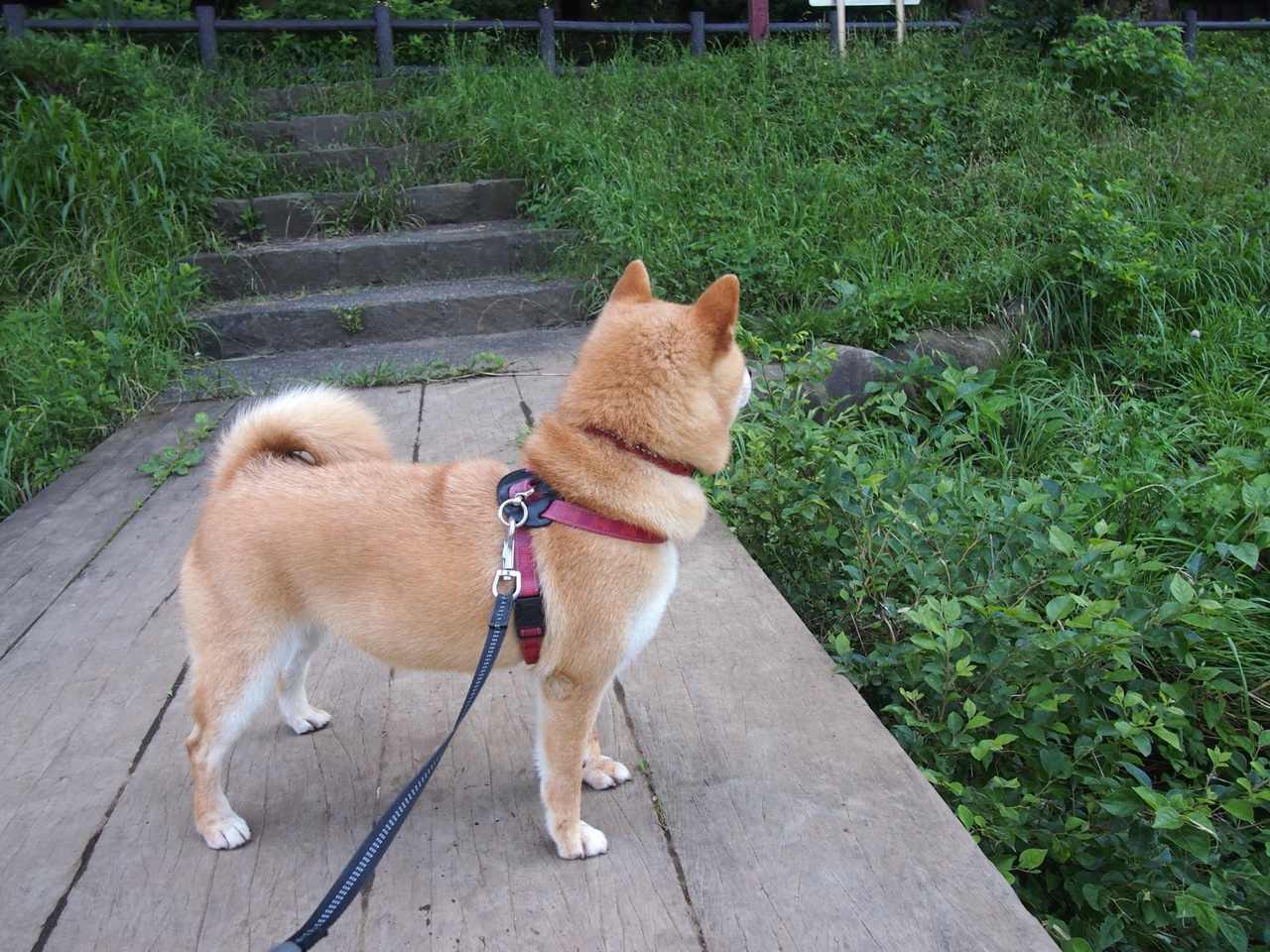 中小学课堂互动创新,优秀中小学创新课堂案例