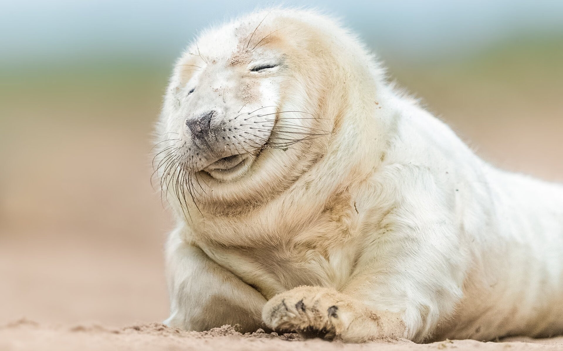 体育赛事安全防护方案,体育赛事的安全隐患及防护措施