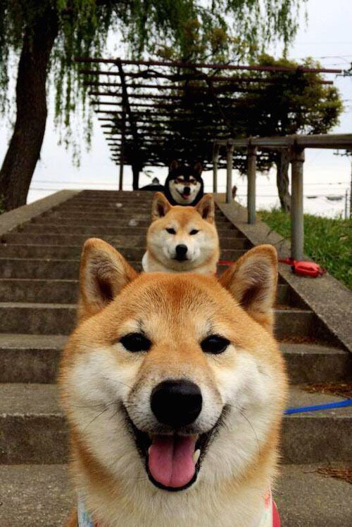 国足球员得分类型分布分析，国足球员实力排名