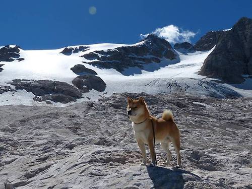 新闻中心召开高层管理会议，高层工作会议
