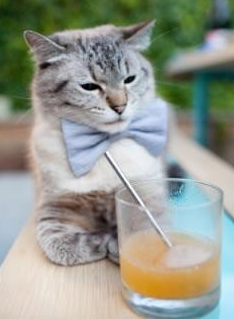 篮球专项力量与耐力训练结合的科学方法,篮球力量训练的特点