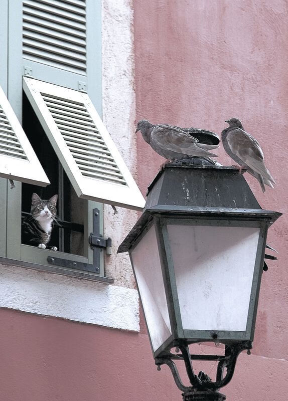 2024年埃及队在世界杯中的技术革新与突破,埃及世界杯阵容