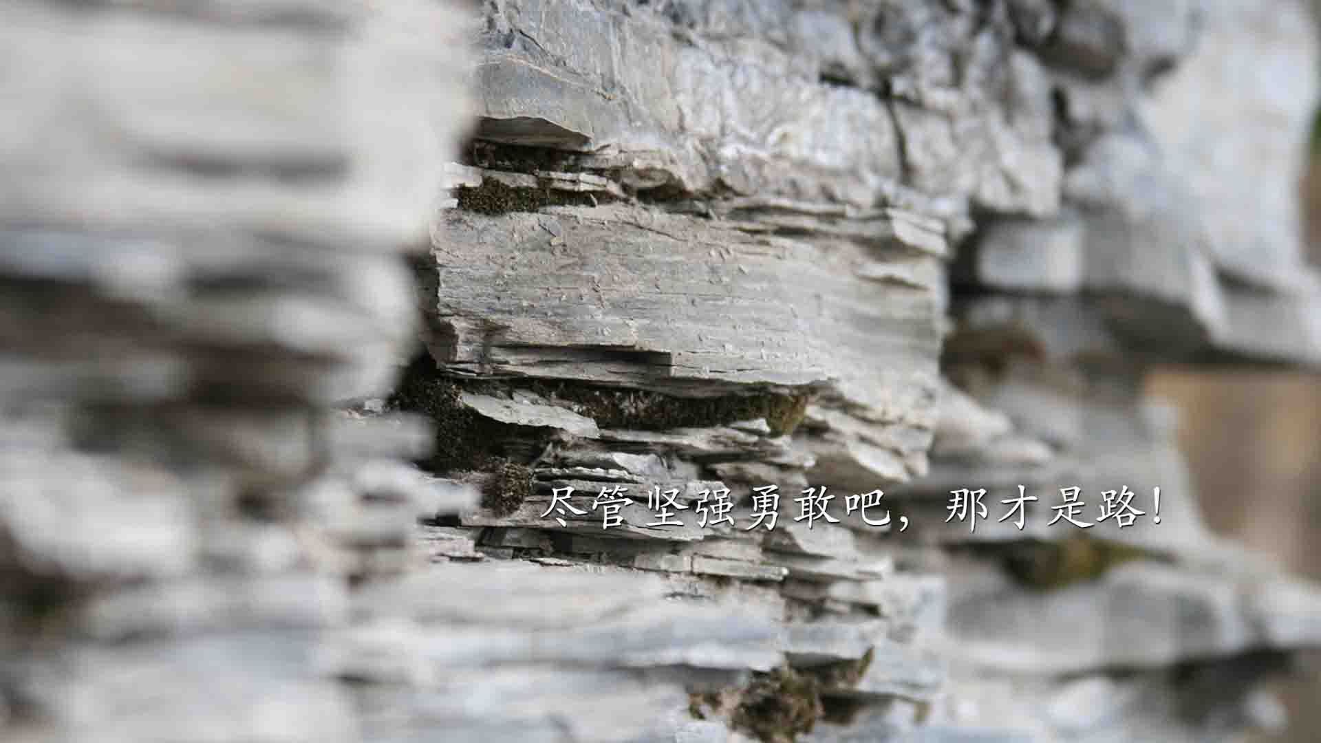 华体会登陆-亚特兰大边路突破精准传中撬动比分，亚特兰大打法