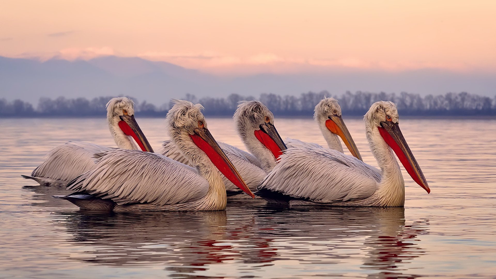 历史得分排行榜前十对比,历史得分榜nba百度百科