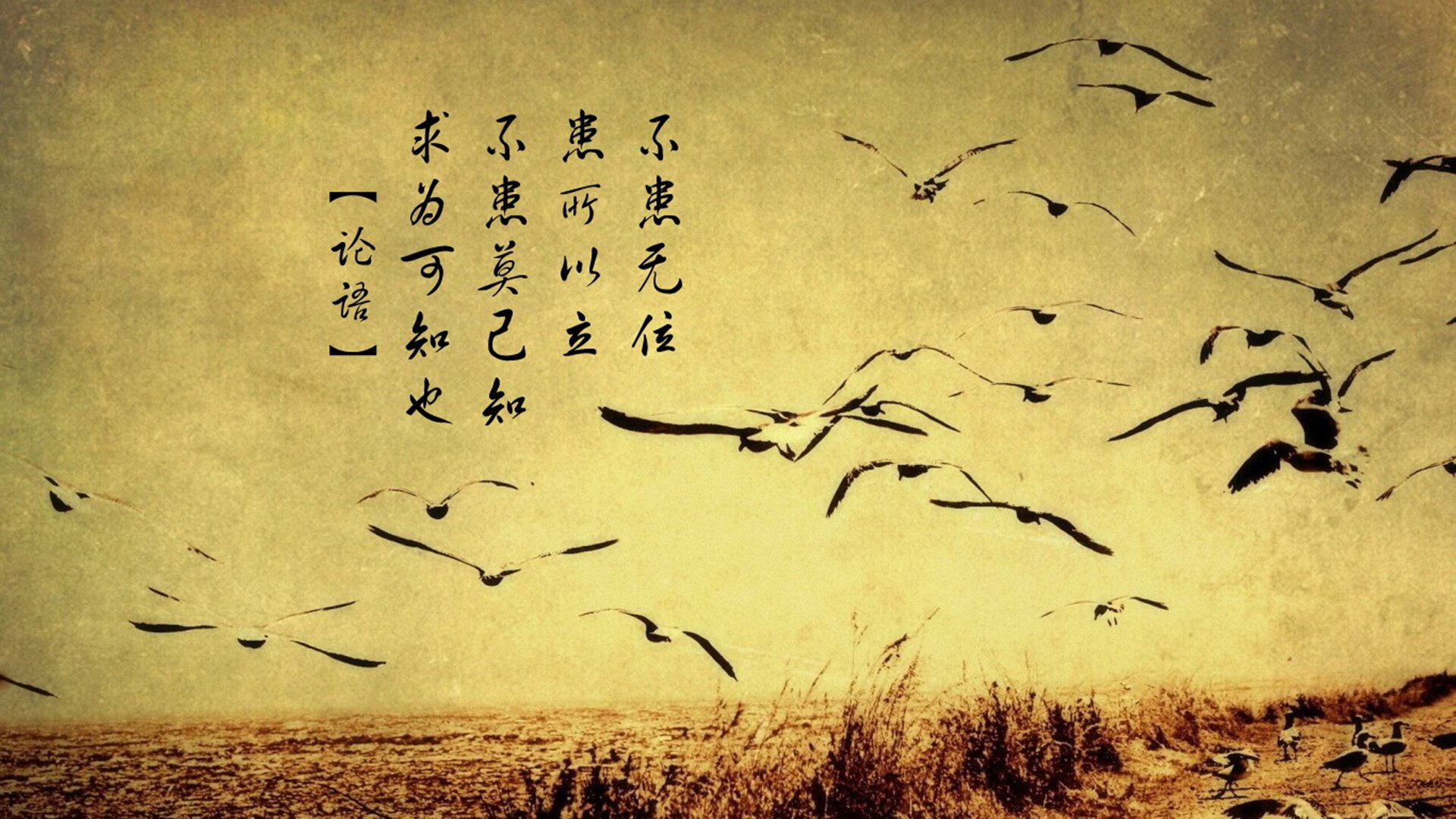 张雨霏和教练反复推敲技战术细节,张雨霏教练评价