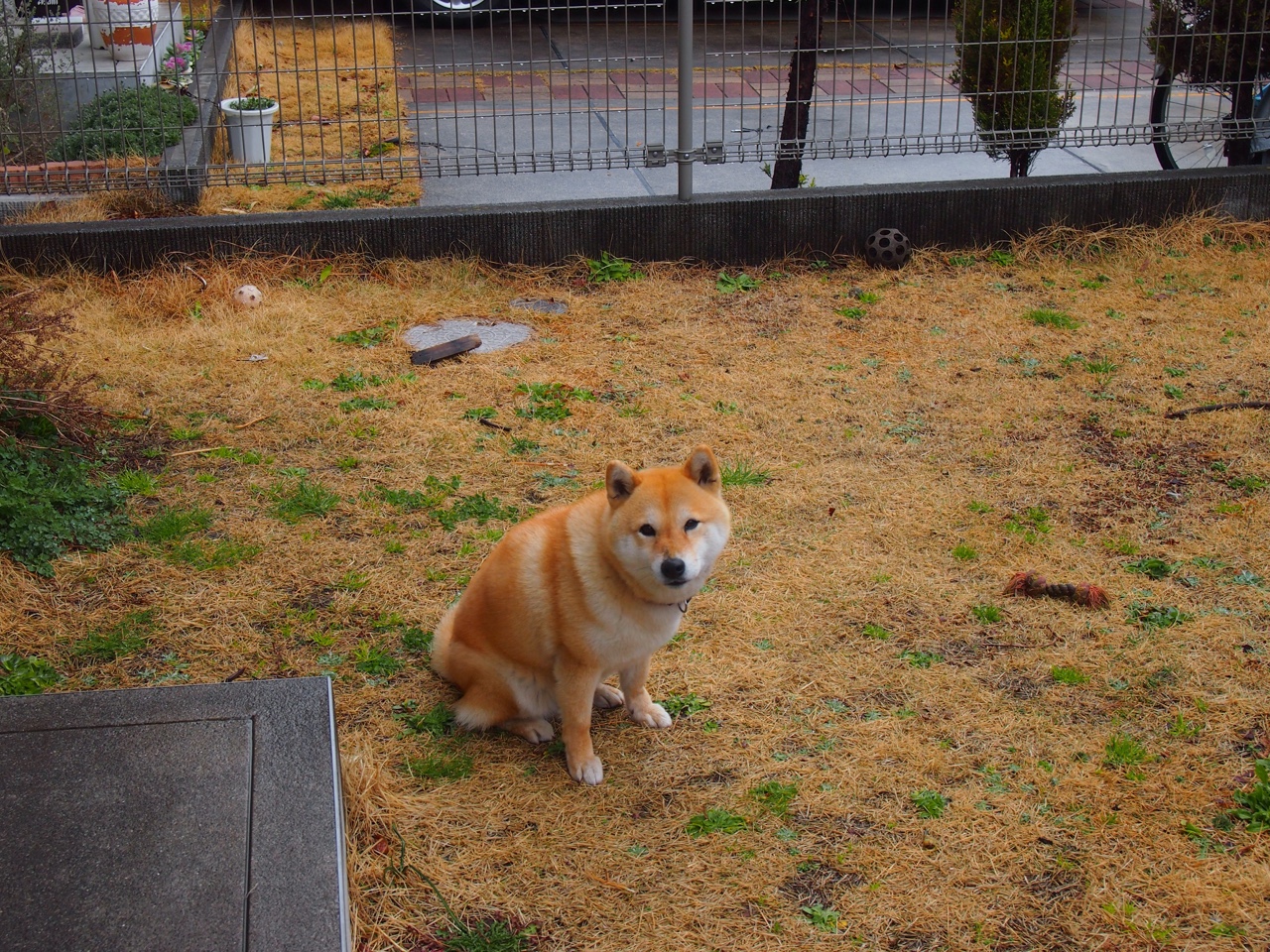 华体会app登入-意甲风云变幻：精彩瞬间层出不穷！，意甲巅峰时期