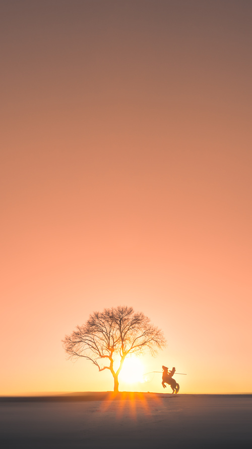 华体会app下载-男篮国家队推广科学睡眠管理优化恢复效率