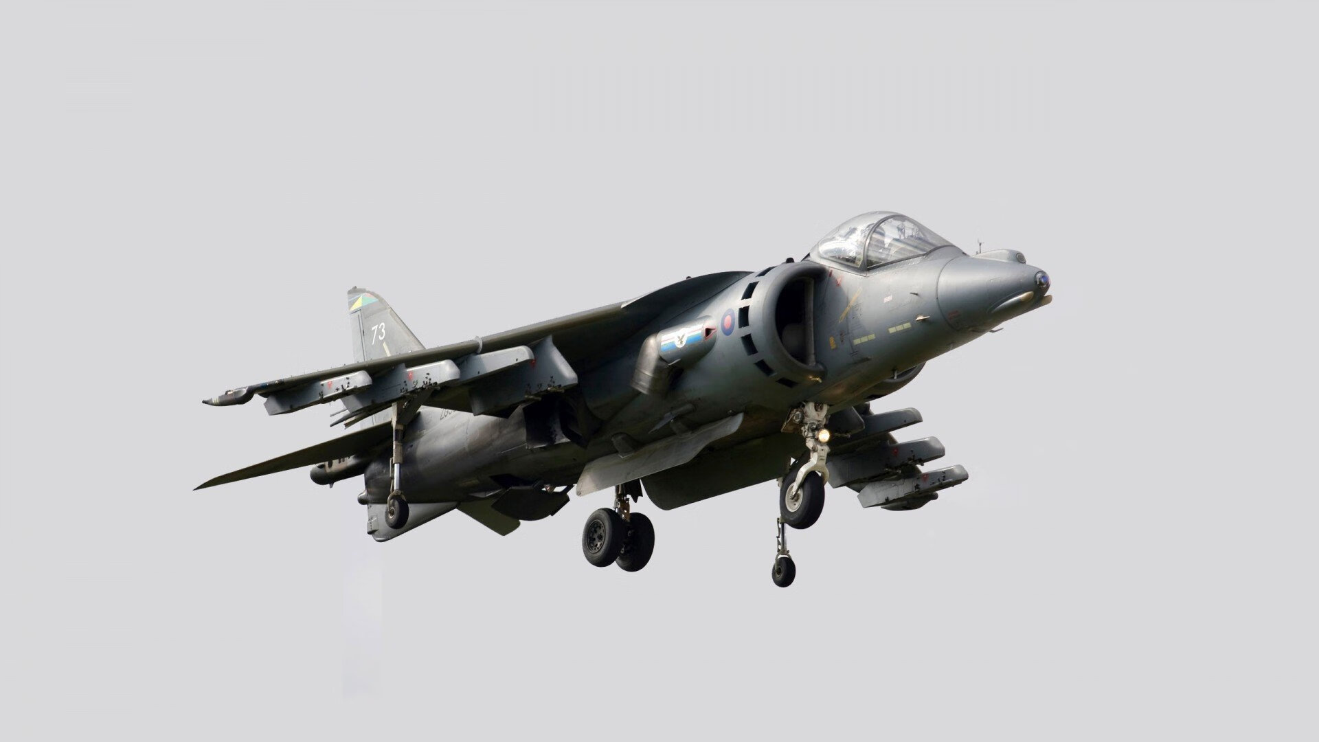 艾比·德尔福:南非队的后场领导者,精准解围守护球队利益,艾德和比尔的故事