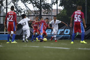 -中国足球联赛青少年发展人才储备现状，中国足球青训人才