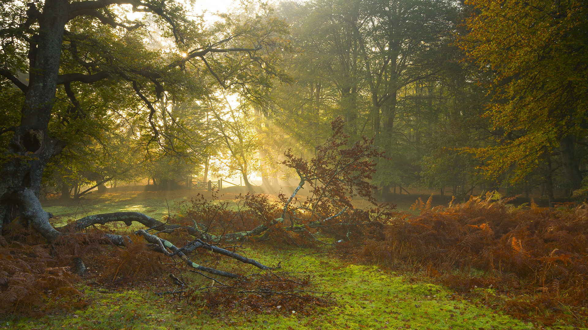 华体会网址-五大联赛长传球占比逐渐降低，五大联赛球队最长连胜纪录